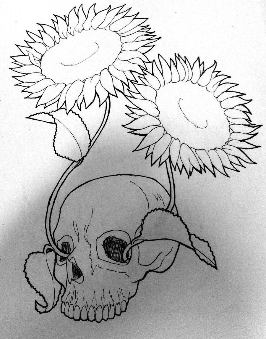 900x1145 Drawings Pictures Of Sun Flowers Pencil Sketches Sunflowers