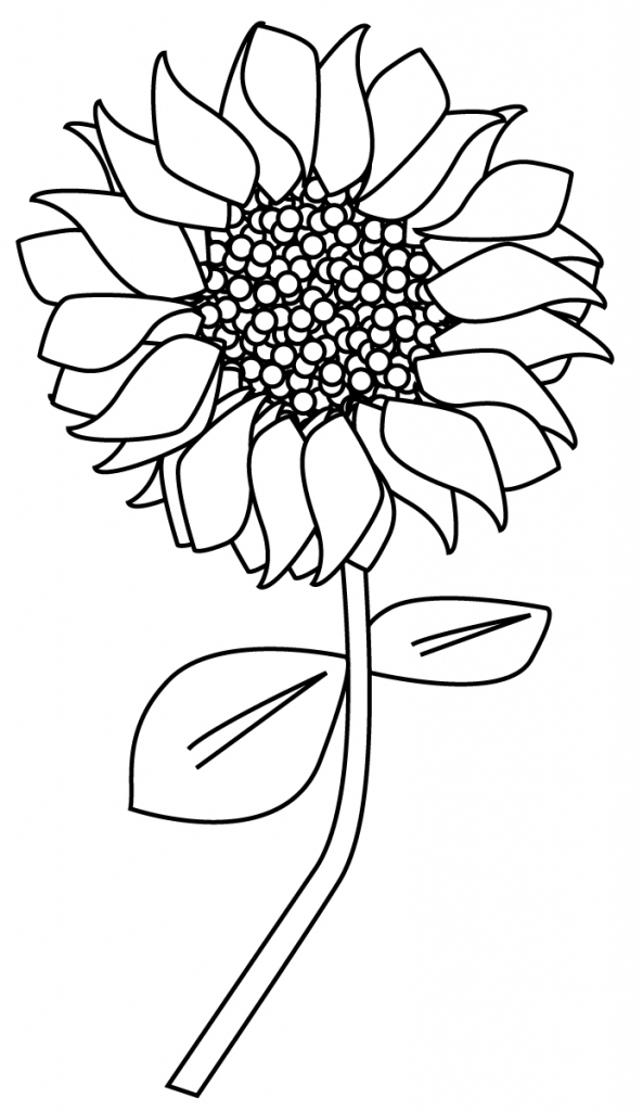 593x1024 Sunflower Line Drawing 1000 Ideas About Sunflower Drawing