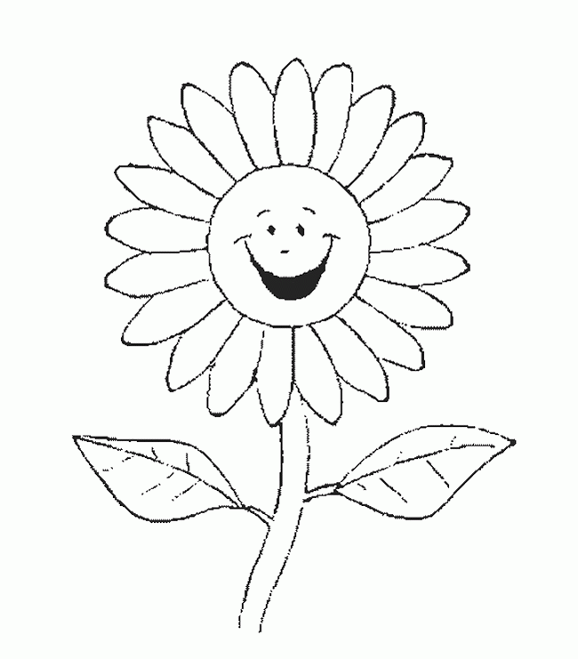 650x741 Sunflower Pictures To Color 308792