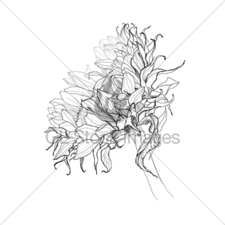 325x325 Drawing Poppy Gl Stock Images