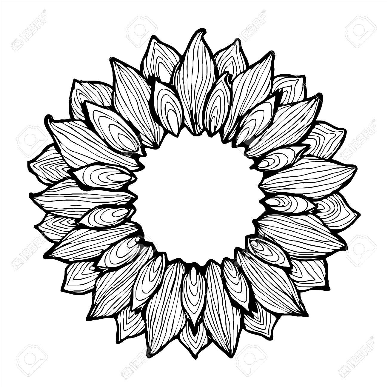 1300x1300 Sunflower Ink Sketch Frame Royalty Free Cliparts, Vectors,