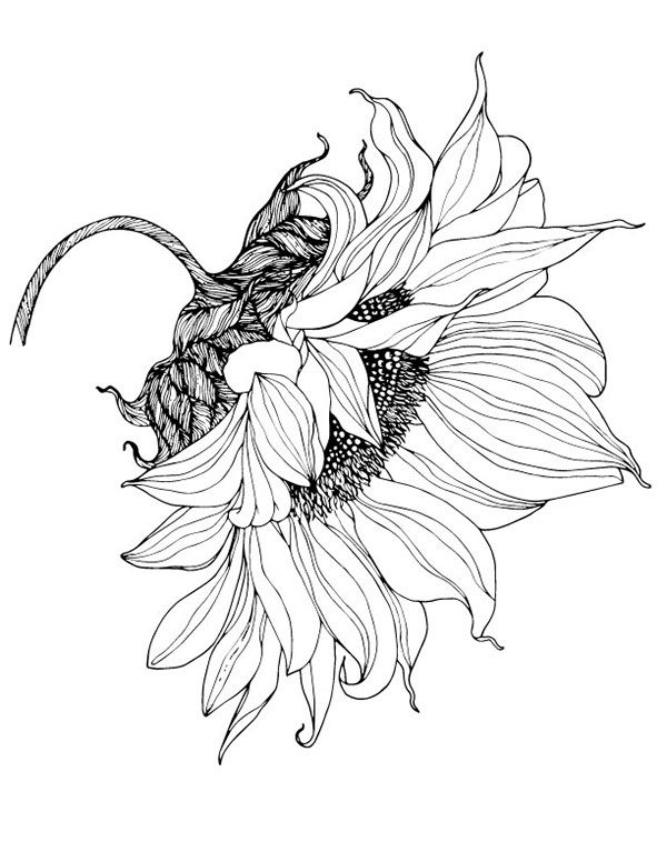 600x776 From Sunflower Motif To Pattern On Behance