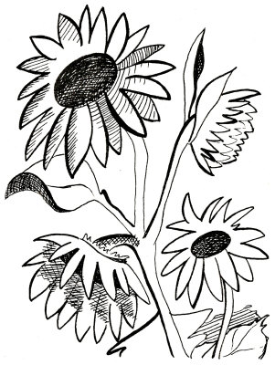 301x400 Sunflower Line Art