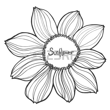 450x450 541 Sunflower With Black Line Art Stock Vector Illustration