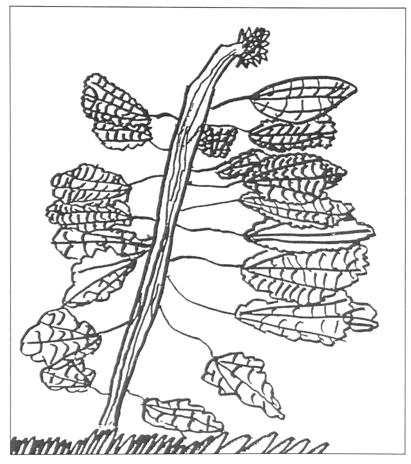 826x931 Themes In Creative Art Education Getting Started With Daily Drawing