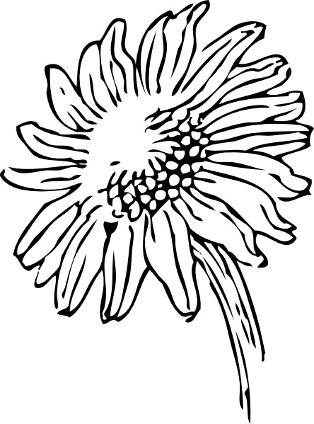 444x599 Sunflower Clip Art Free Vector In Open Office Drawing Svg ( Svg