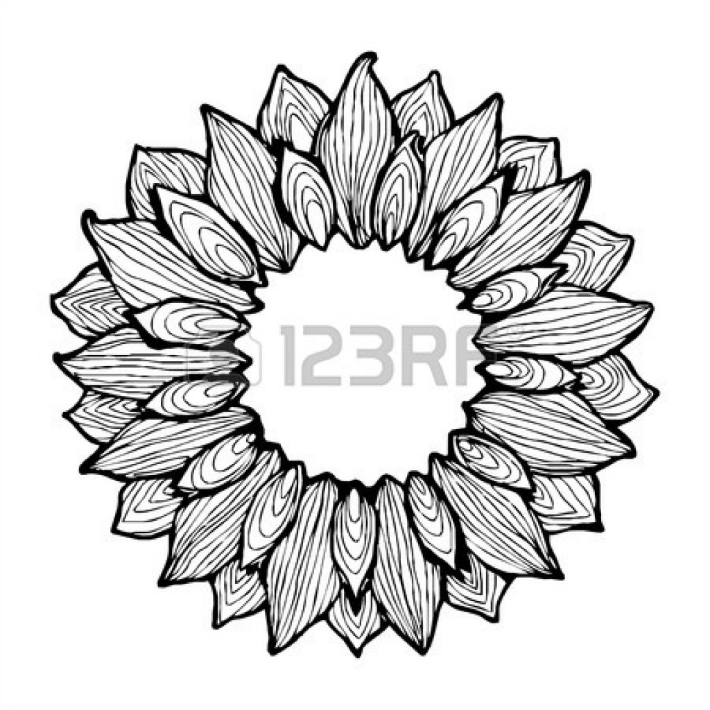 1024x1024 Sunflower Pencil Drawing Sunflower Pencil Drawing Clipart Panda
