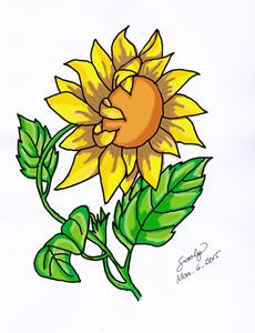 230x300 Sunflower 3
