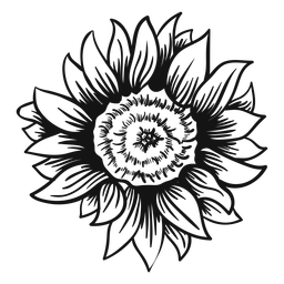 256x256 Sunflower Illustration With Text