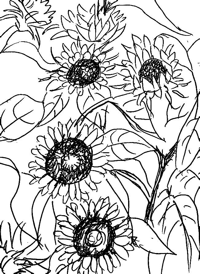 651x889 Sunflowers Pen Drawing Drawing By Hae Kim