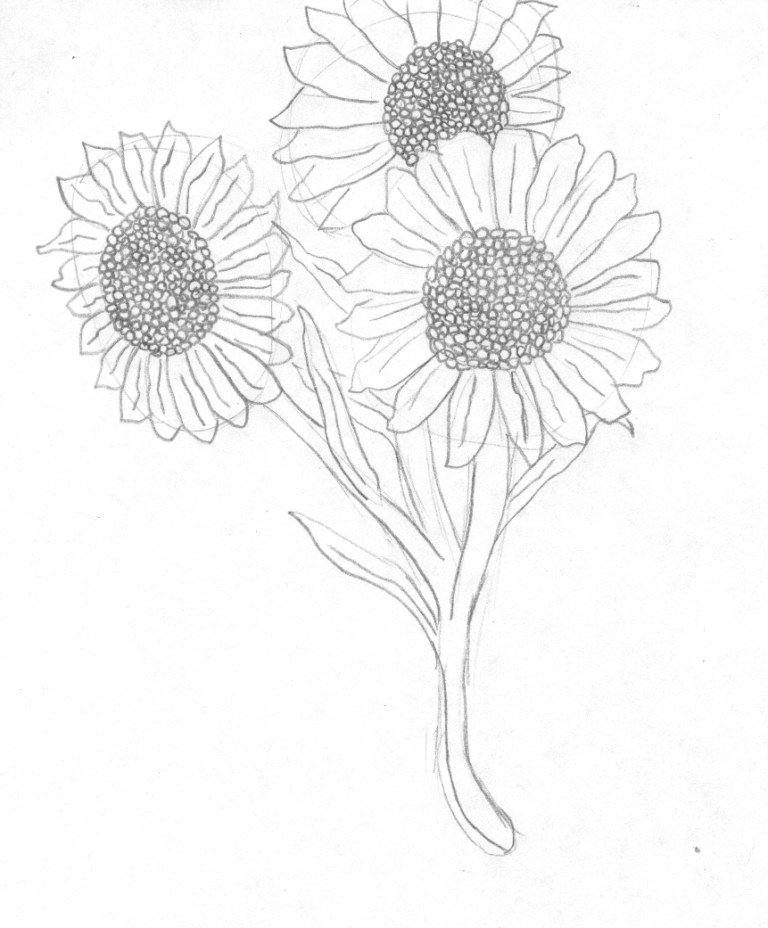 861x1041 Sunflowers By The Rose Of Blue