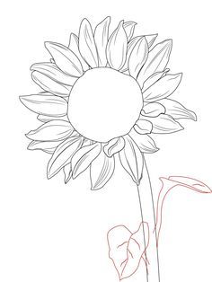 236x314 Drawing Of Sunflower