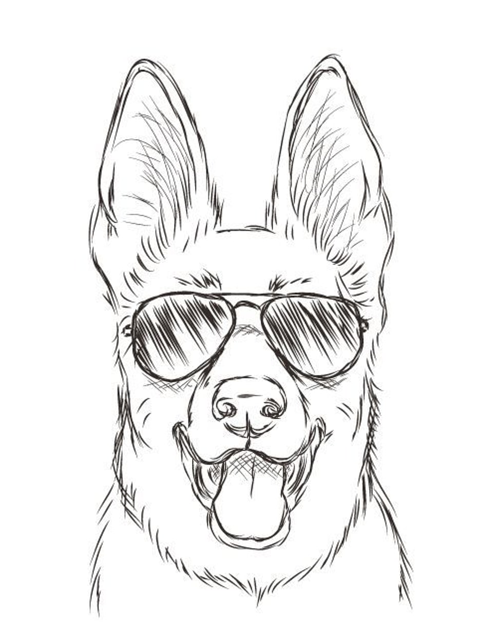 970x1220 Sketch Of Dog Face Wearing Aviator Sunglasses Hd Wallpaper