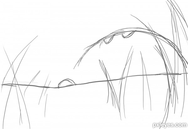 600x411 Drawing Guide