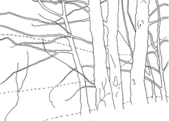 240x172 Sunrise Colored Pencil Project Kit