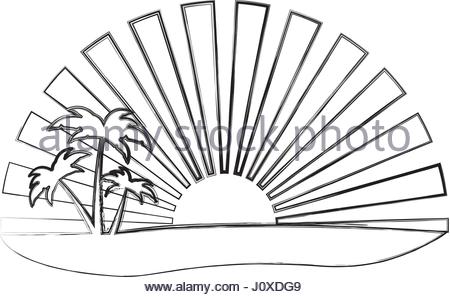 450x297 Palms And Sun, Tropical Sunset Vector Background Landscape Stock