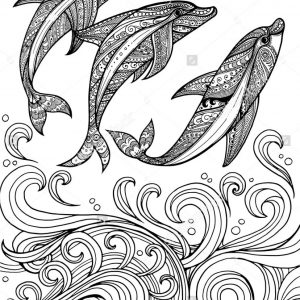 300x300 Abstract Dolphin Coloring Pages Best Of Drawn Dolphines Head