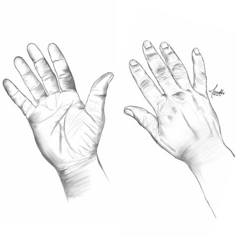 474x474 Almost Realistic Sketch Of A Hand Own Creations Oil Pastel