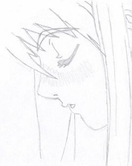 269x339 Pencil Drawings Pencil Drawing Description