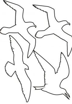 236x340 How To Draw A Seagull In Flight, Step By Step. (Add To Picture