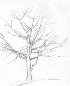 236x288 Resultado De Imagem Para Beautiful Pencil Drawings Of Scenery