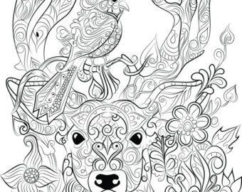 340x270 Color Pencil Deer Etsy