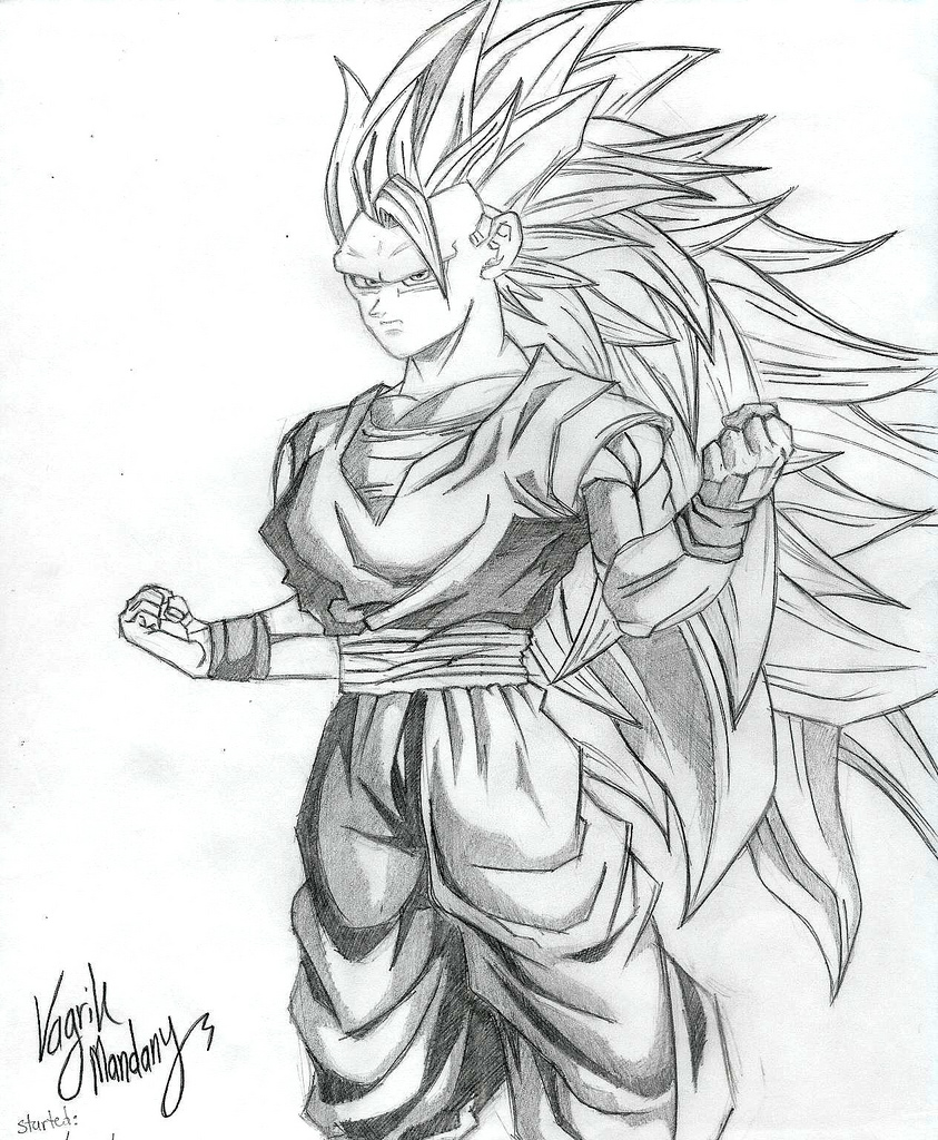 843x1024 Goku Super Saiyan 3 By Pokriktiger