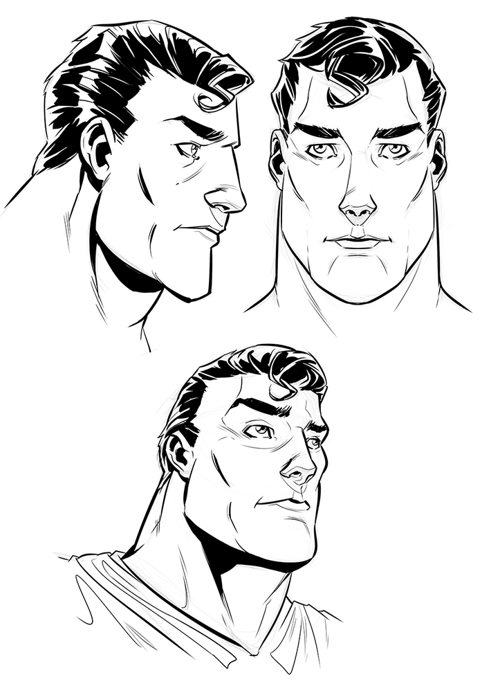 697x991 Superman Model Sheet By Tedkeys
