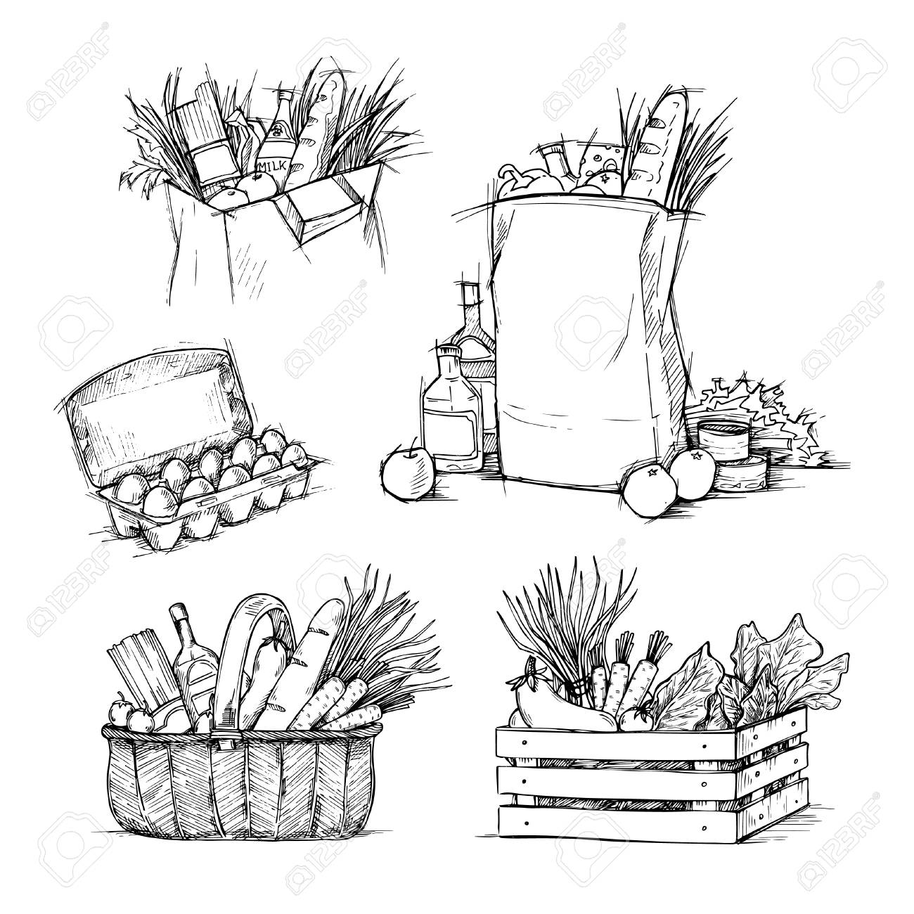 1300x1300 Hand Drawn Vector Illustrations