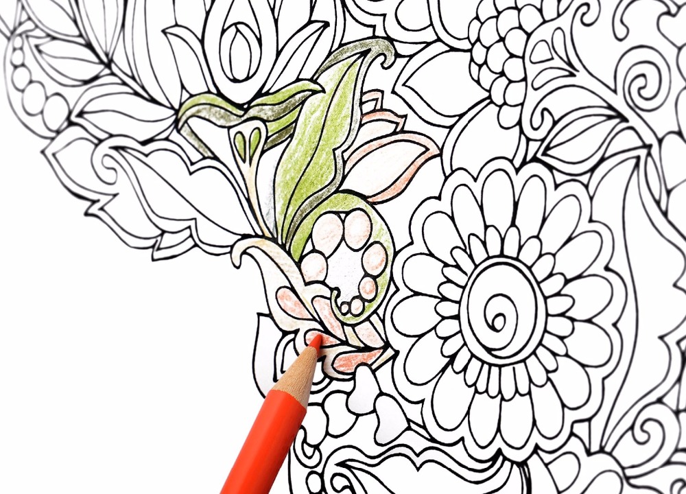 1000x720 Buy Lolliz 72 Colored Pencils Professionals