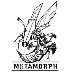 250x250 Roberts Surfboards Metamorph