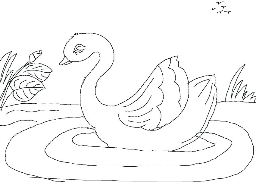 850x604 Surfboard Coloring Pages Go To Coloring Page Of Surfboards Lined