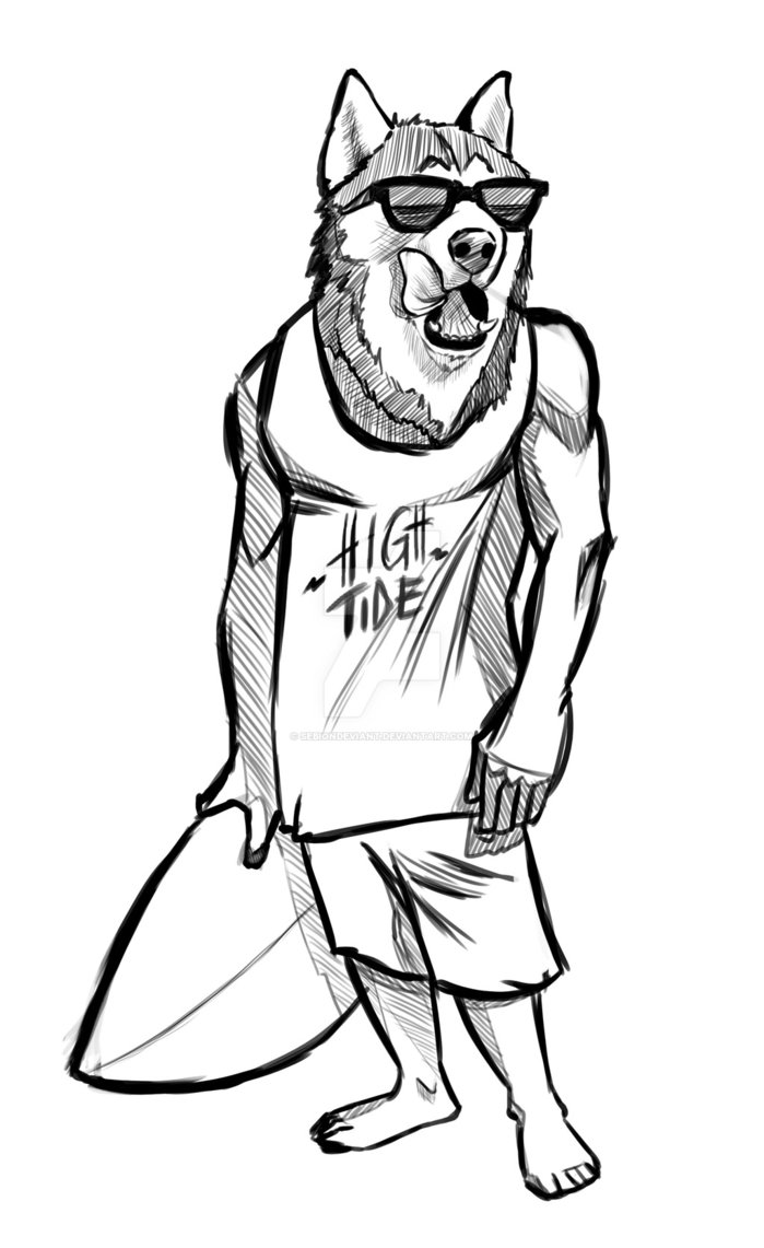 699x1141 Surfing Dog