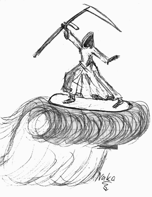 530x686 Funny Death Surfing By Na Ka