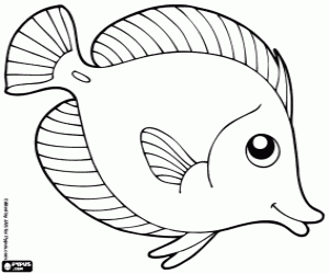 300x250 Tropical Fish, Surgeon Fish Coloring Page Printable Game