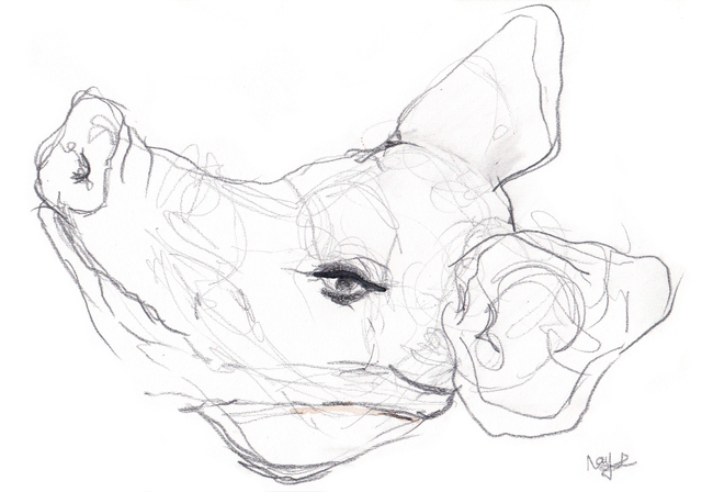 640x448 Plastic Surgery Disasters Hans Amp Fritz Contemporary Artsy