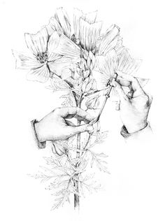 236x316 Cool Hand Drawing