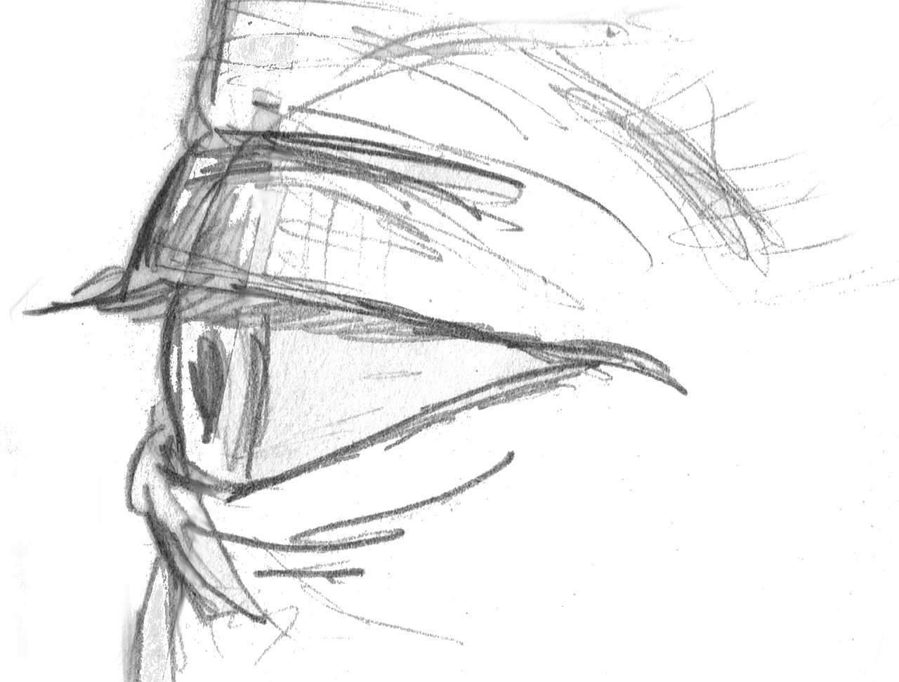 1280x971 Eye 919941 1280