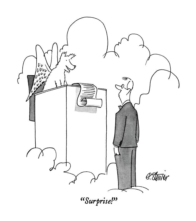 798x900 Surprise! Drawing By Peter Steiner