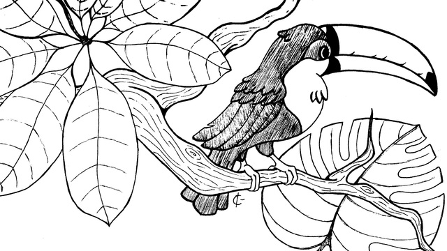 640x360 Surprise Drawing Tumblr