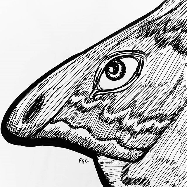 640x640 Pegeen Sc (@kaiyaweird) Twitter