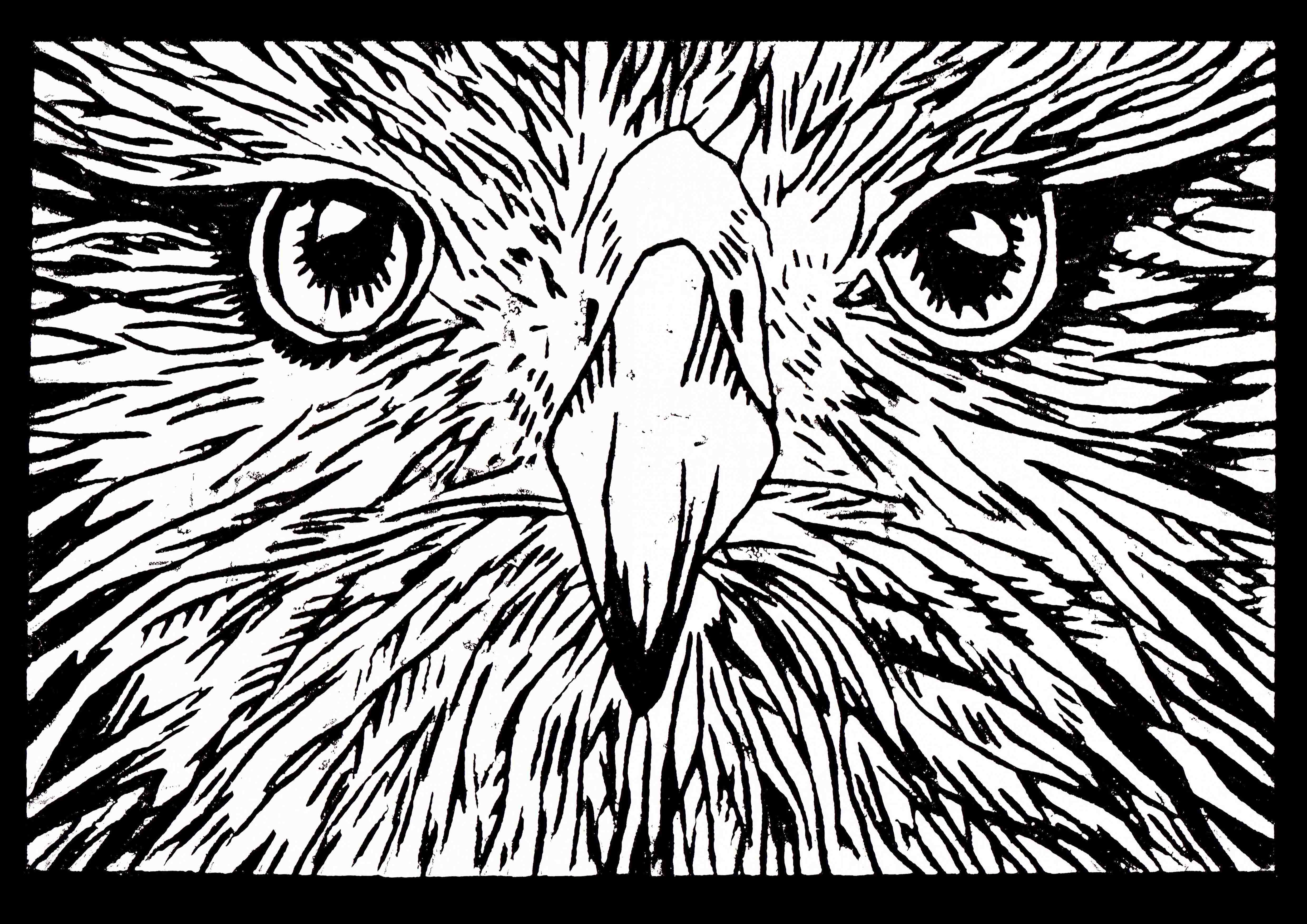 4961x3508 Scribble Blog Inspiring Creativity Featured