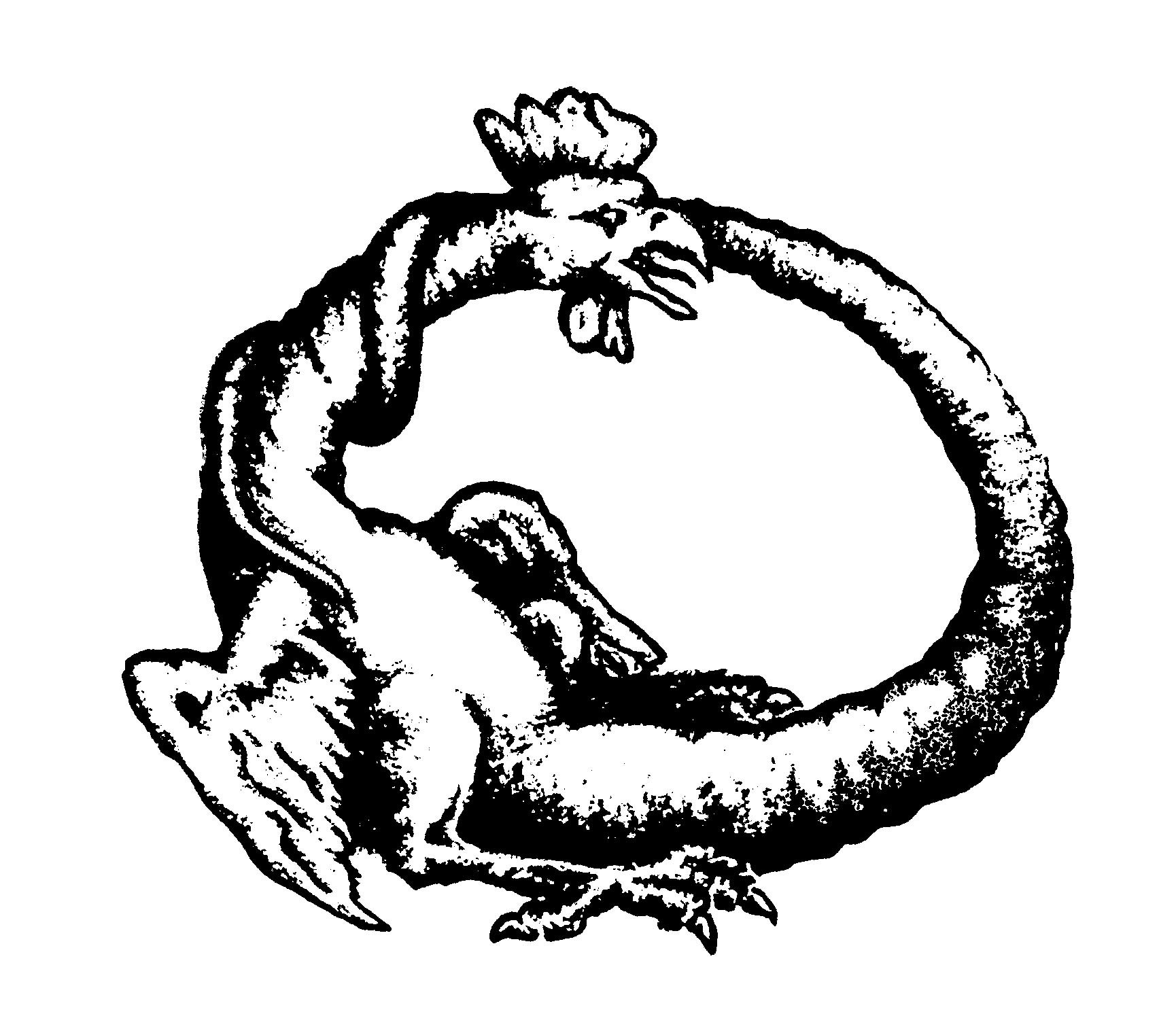 1730x1495 2012 Surriv Page 2