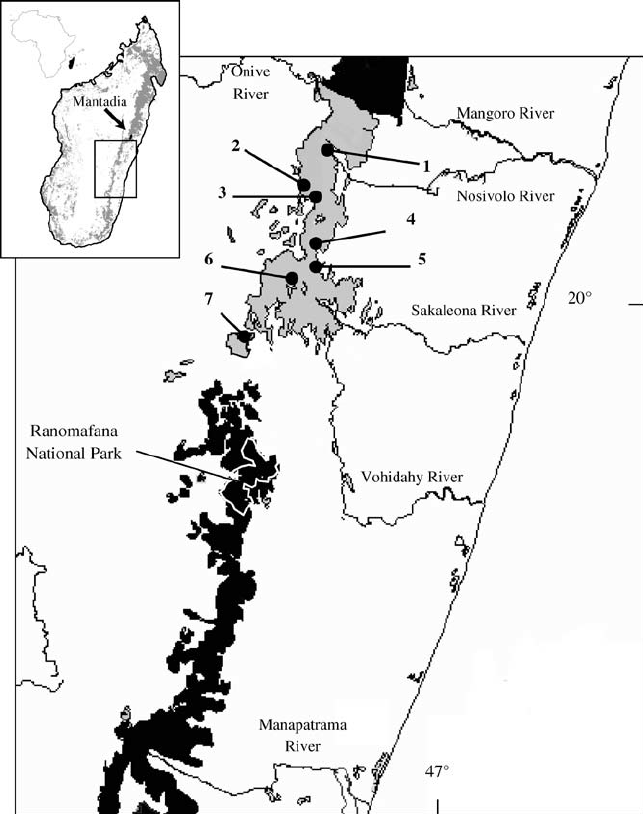 643x814 Location Of 7 Survey Sites In The Fandriana Marolambo Forest