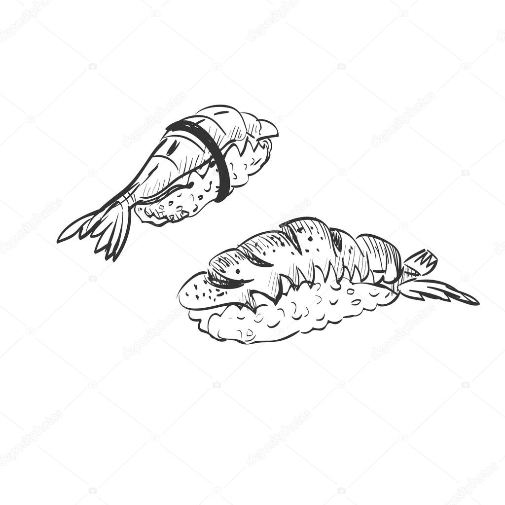 1024x1024 Doodle Sushi Stock Vector Netkoff