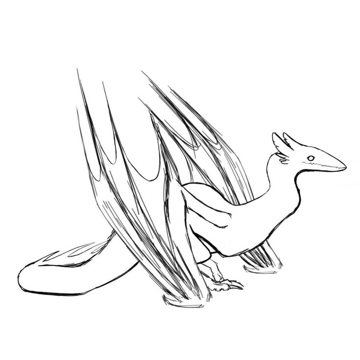 736x736 52 Best My Sketches Images On Comment, Croquis And Draw