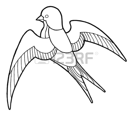 450x392 Contour Hand Drawing Swallow