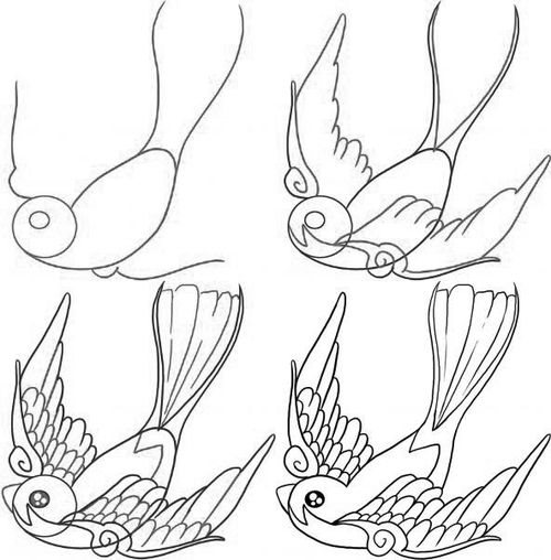 500x508 How To Draw A Bird Step By Step 10 Great Ways (Drawings