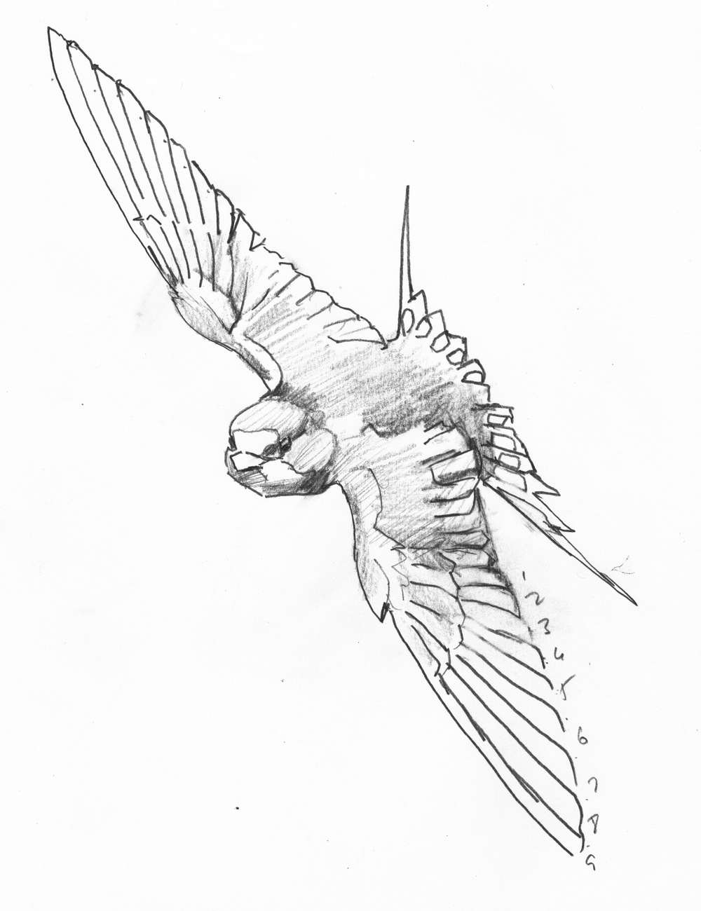 1000x1300 Sketchbook Jim Turanchik