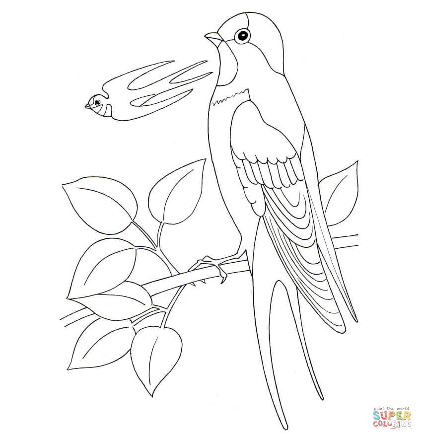850x884 Swallow Coloring Page Free Printable Coloring Pages